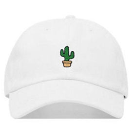 Casquette - Cactus - Sneaked